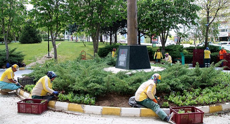 Menekşe Sokak Yol Orta Çiçeklendirme Çalışması